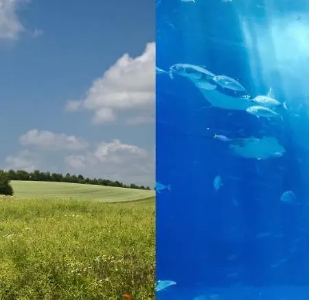 Deux Centre Village Loft Ou Cosy Studio-cosy דירה Brouckerque